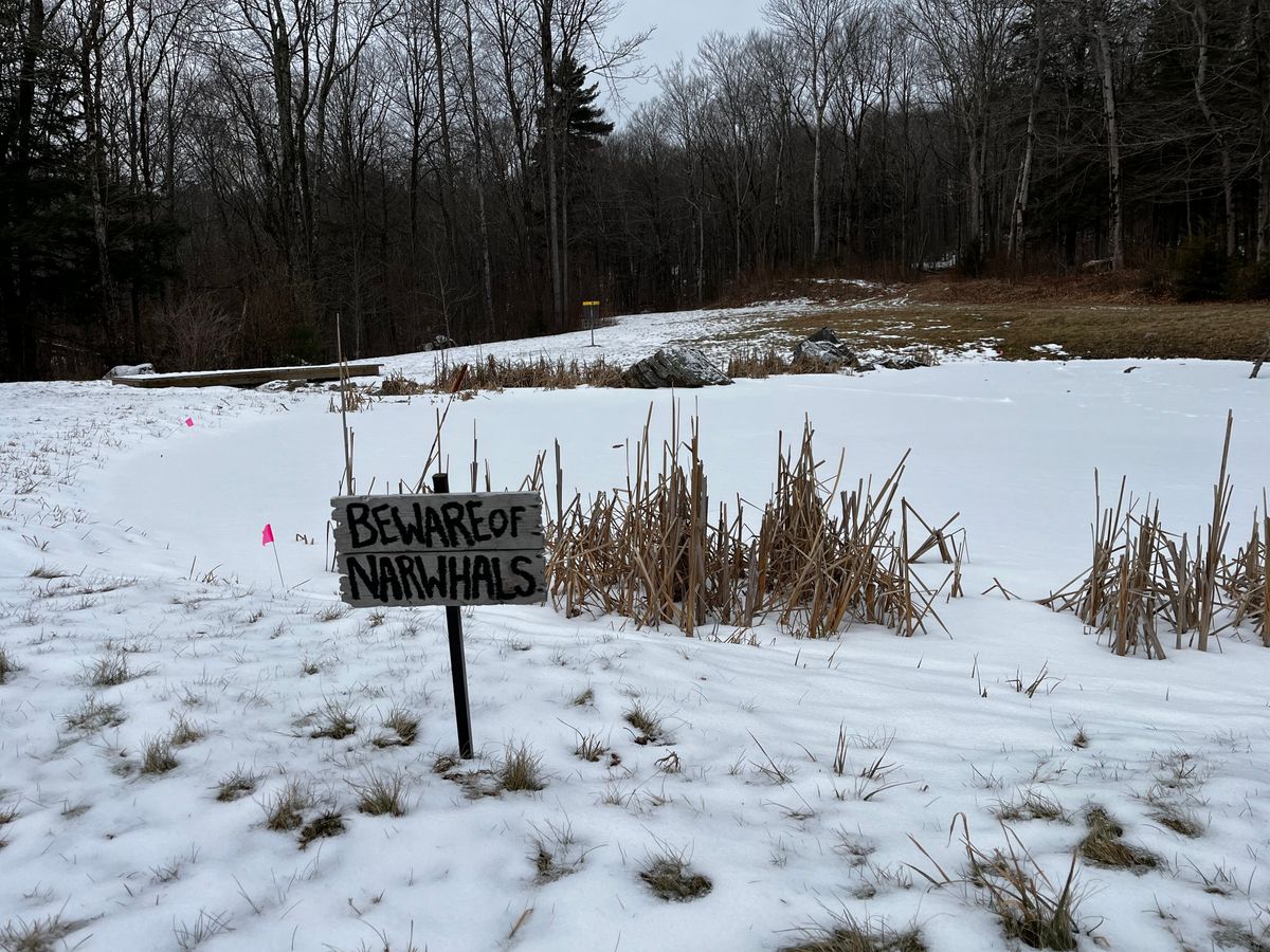 Winter 2024 hole 14 pond