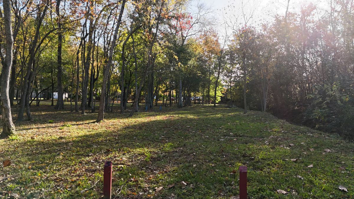 Tee 5, Red Basket