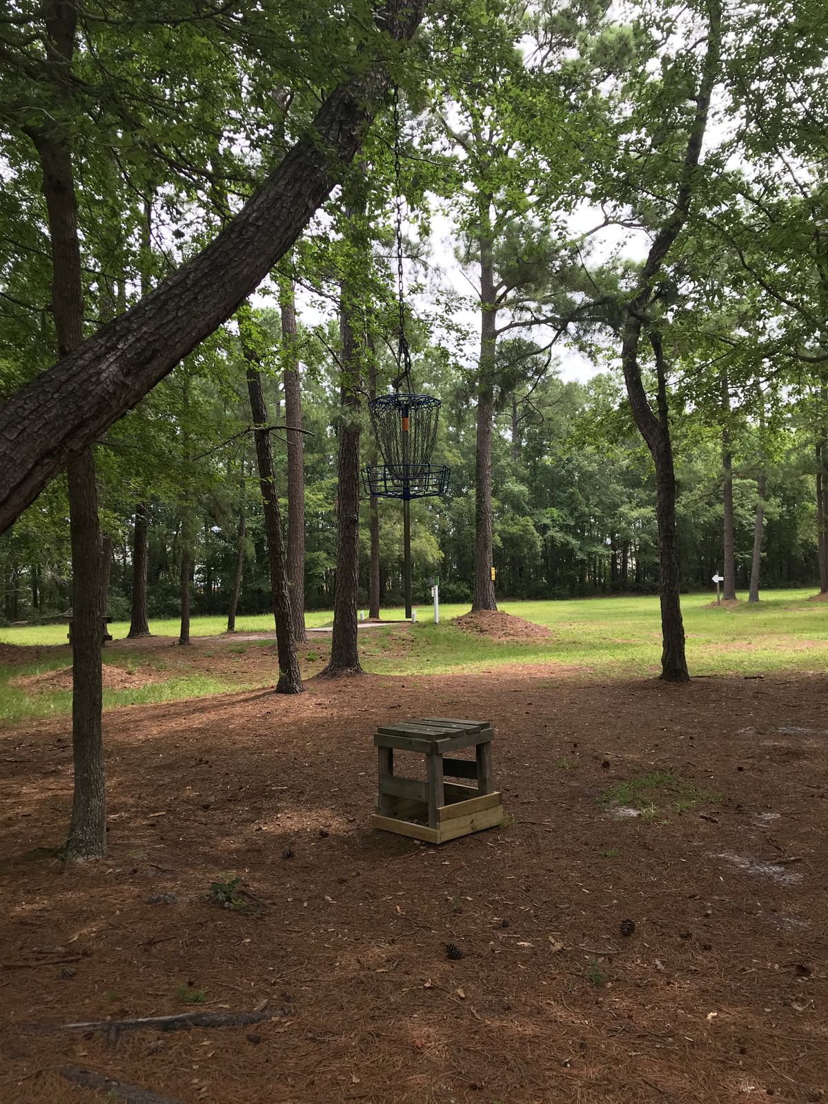Hole 13 blue basket