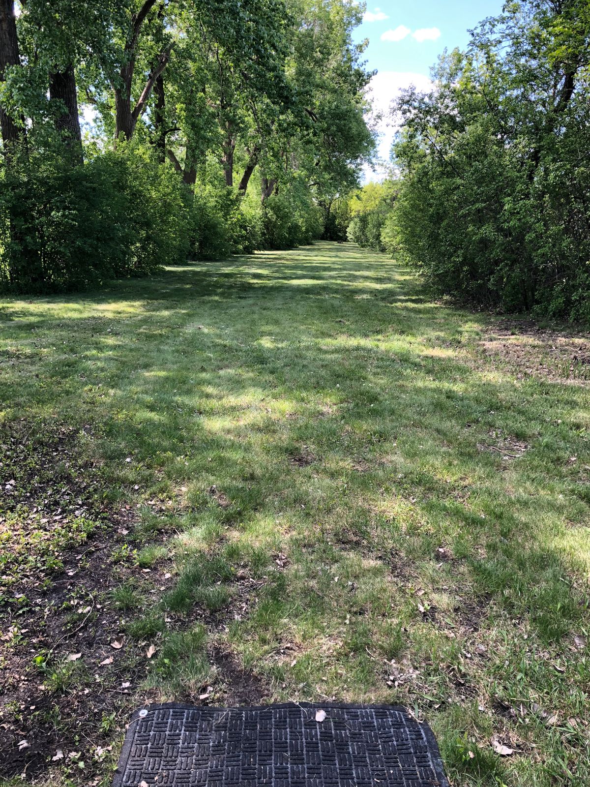 Hole 4 Tee