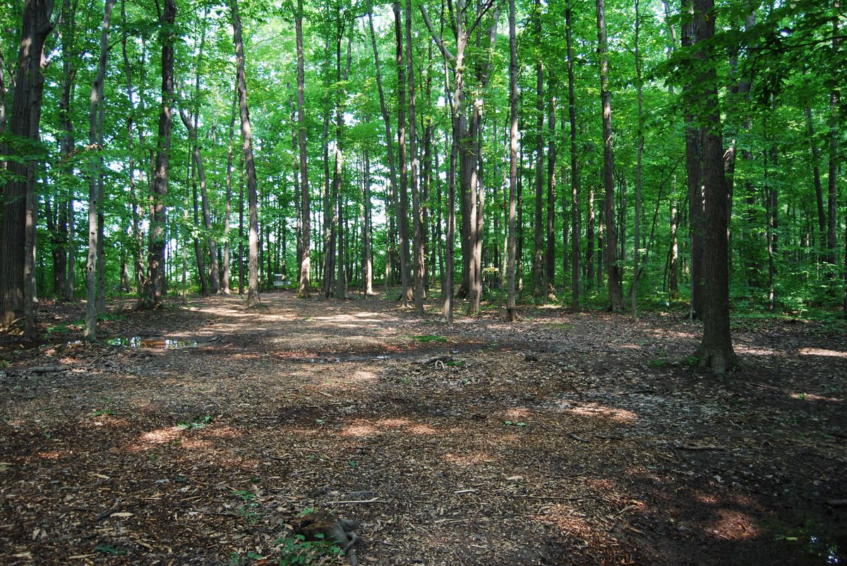 Hole 2 long position