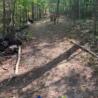 Hole B tee pad