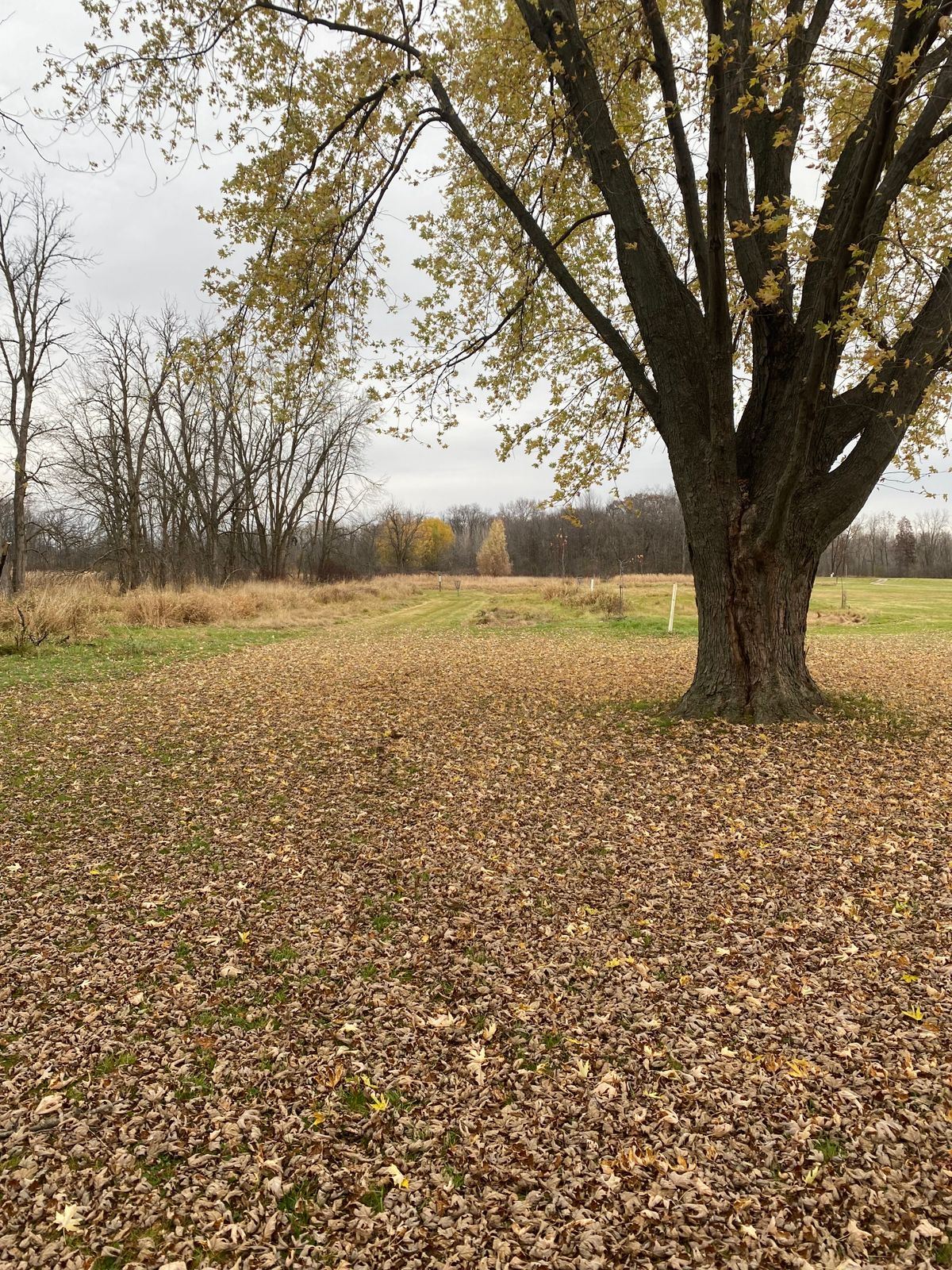 Hole 1 from Tee pad.