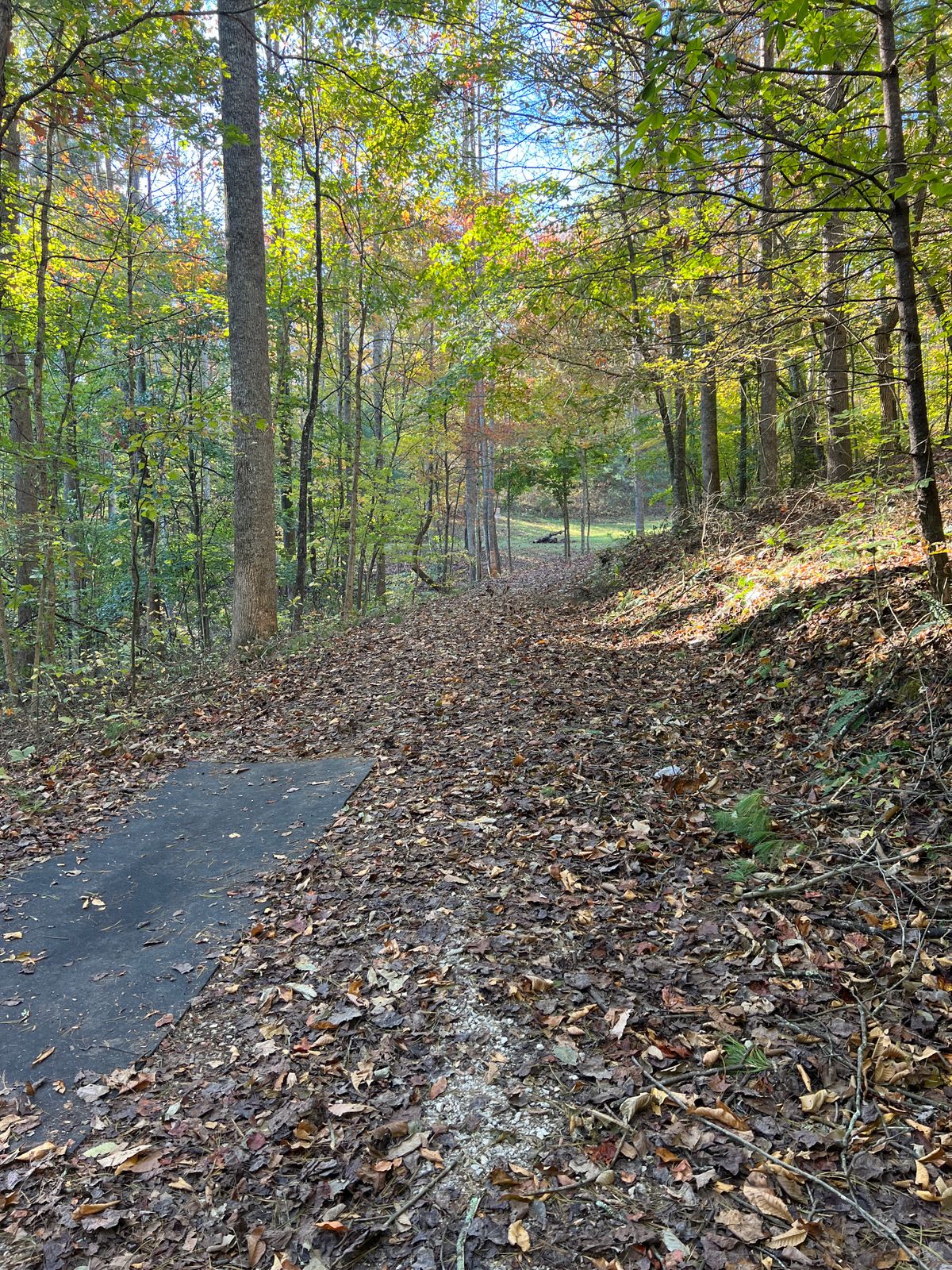 Hole 14