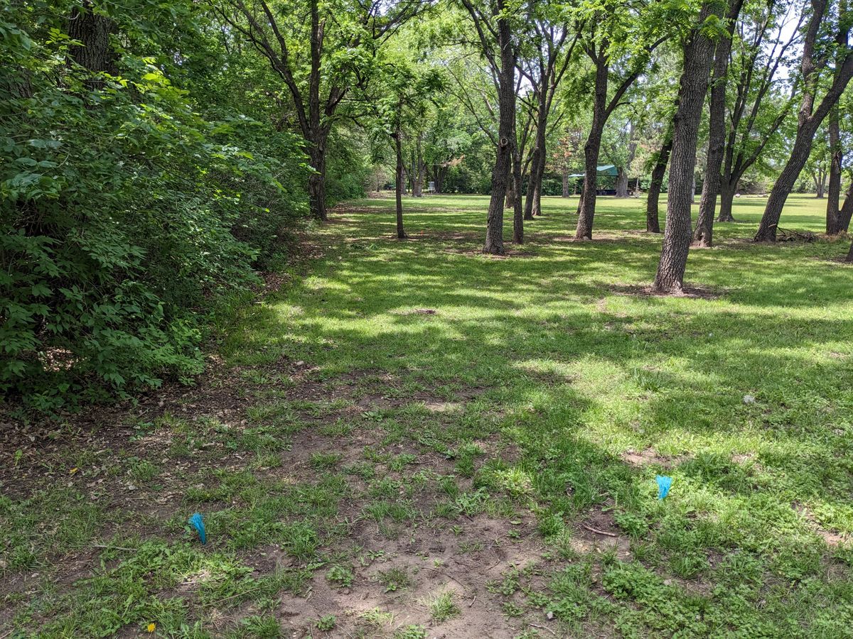 Hole #5