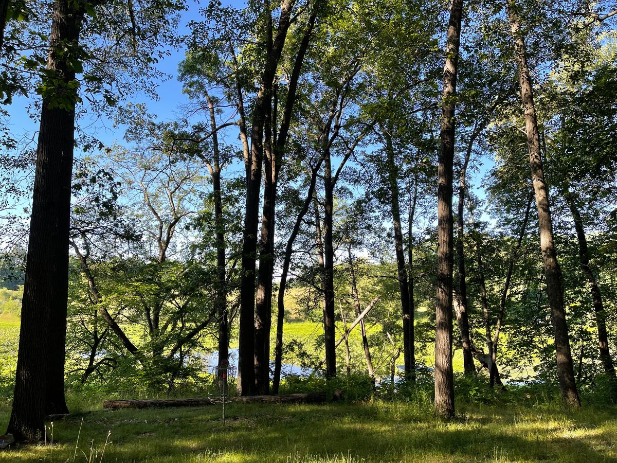 Cool views and lots of birds to listen to in the morning