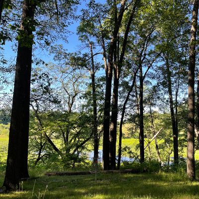 Cool views and lots of birds to listen to in the morning