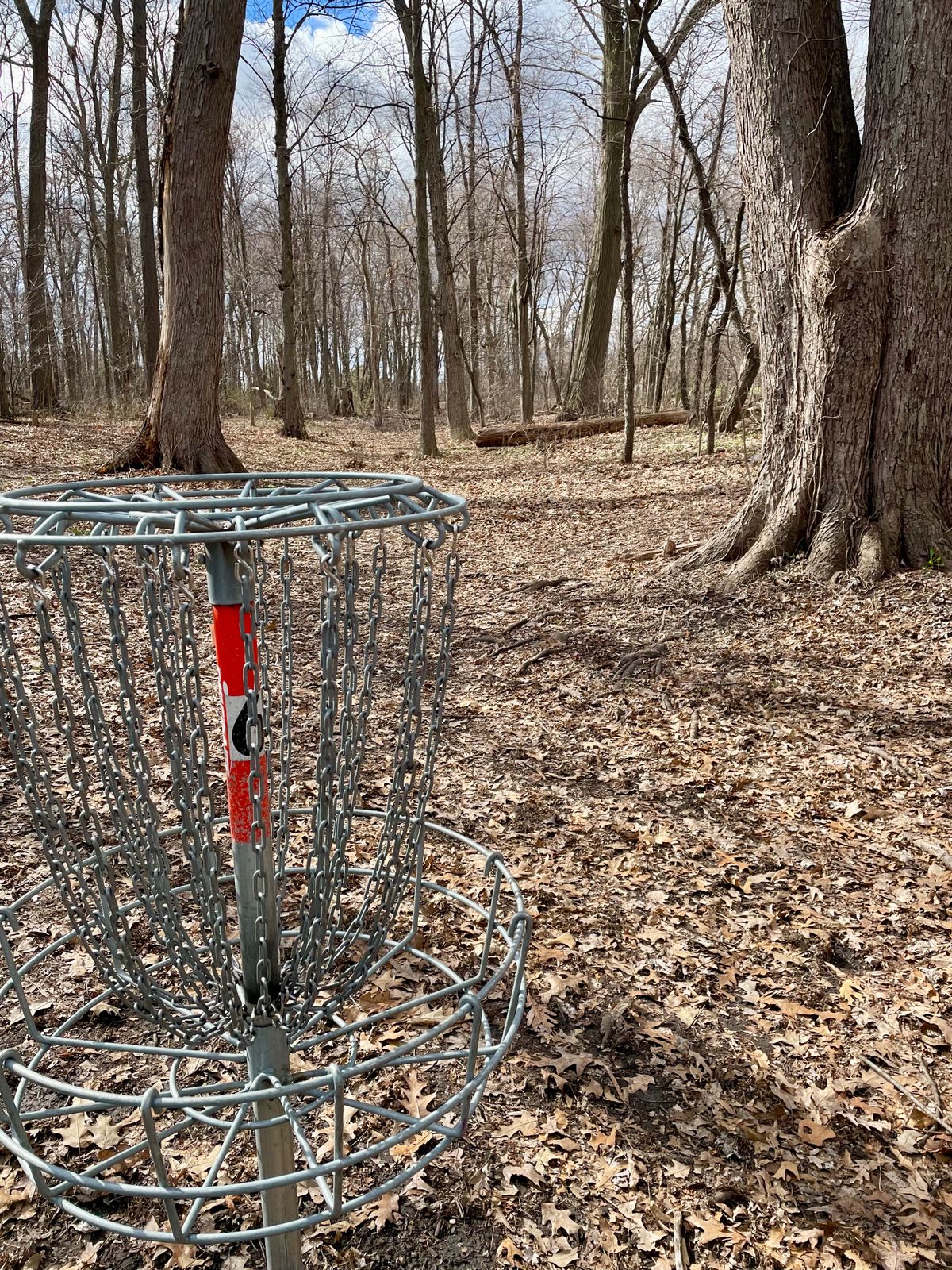Hole 6 basket. Looking backwards.