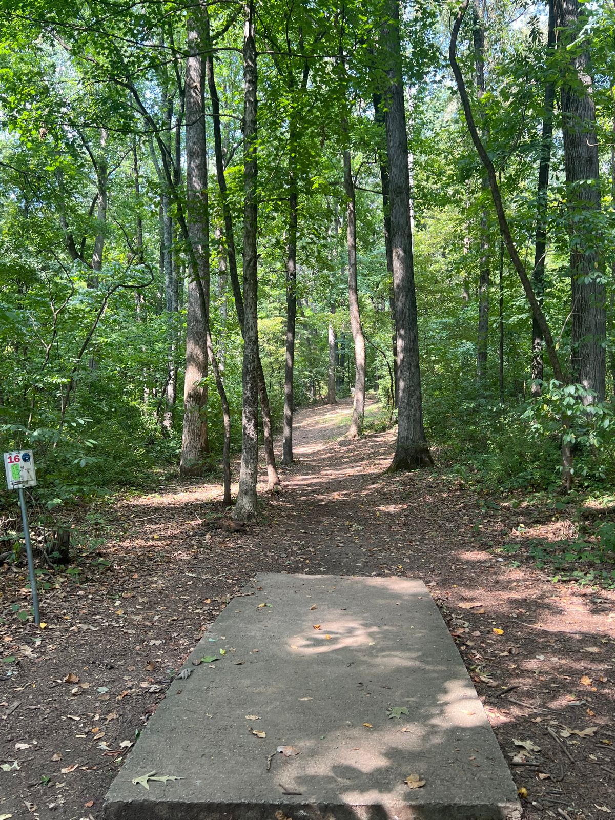 Hole 16, uphill and slightly right