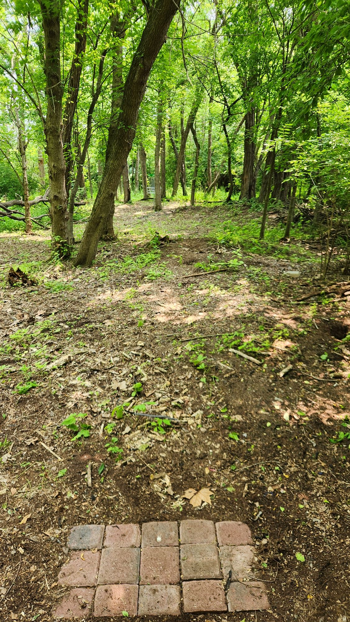 Hole 5