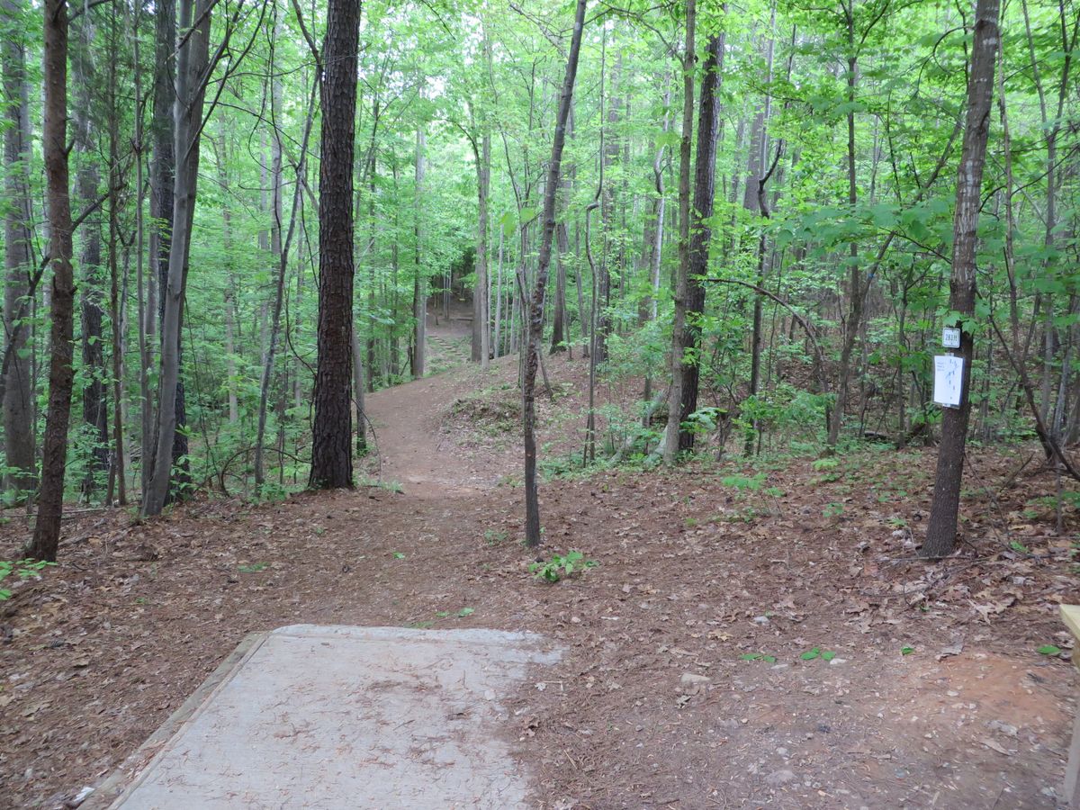 Hole 7