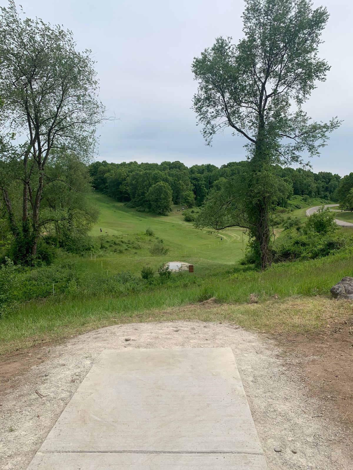 If you zoom in, pin is straight ahead. Everything left of white stakes is OB