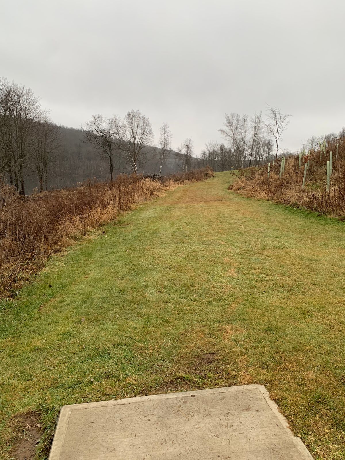 Hole 17: View from teepad