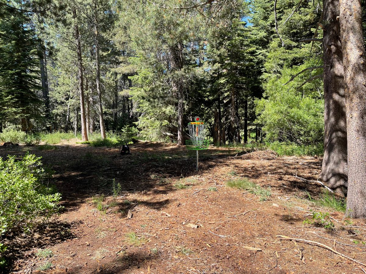 Hole 8, pin position B