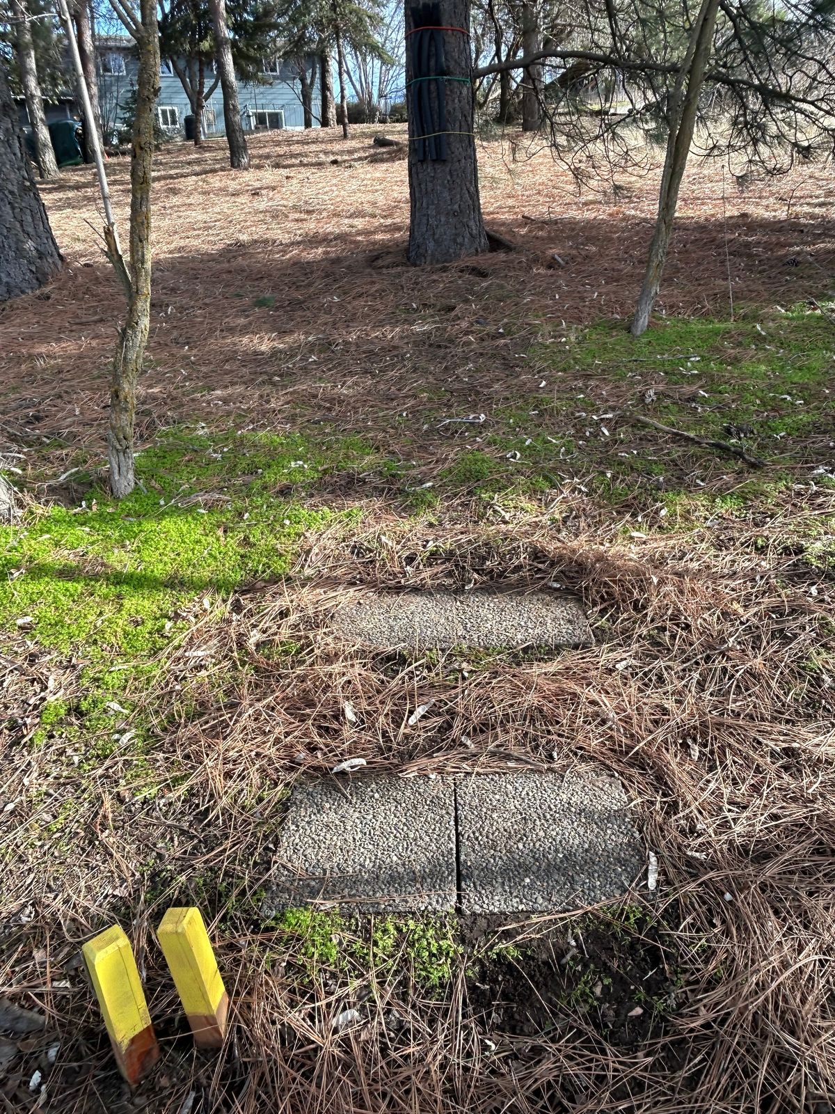 Hole #6. 120’ uphill.