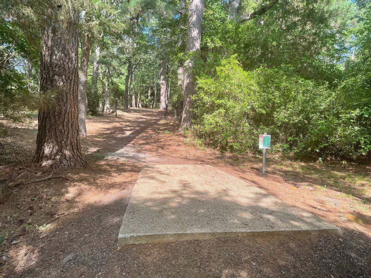 Hole 1
