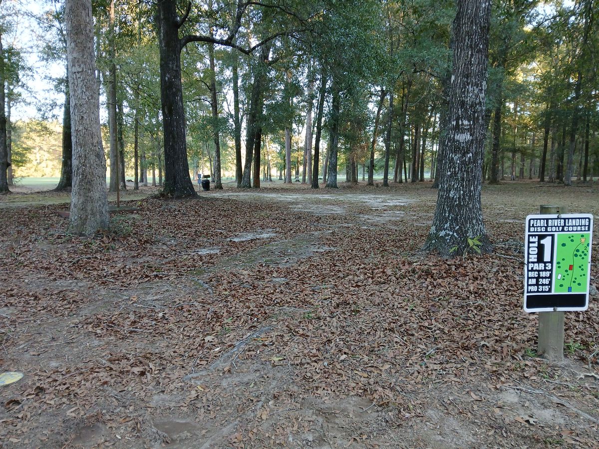 Hole 1 Blue tee (long)