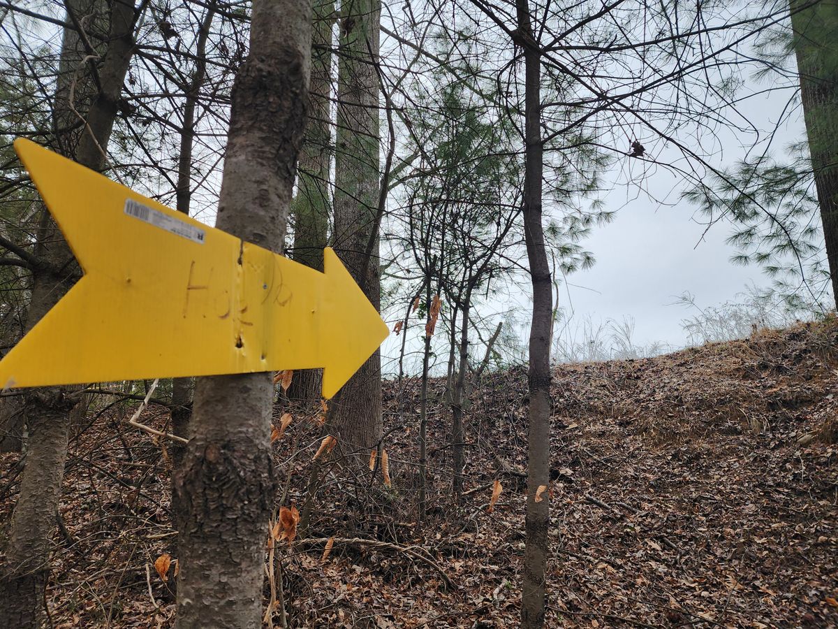 I don't mind primitive nature areas, but these hills are dangerous. I was sliding and falling all over the place. Signage is basically useless