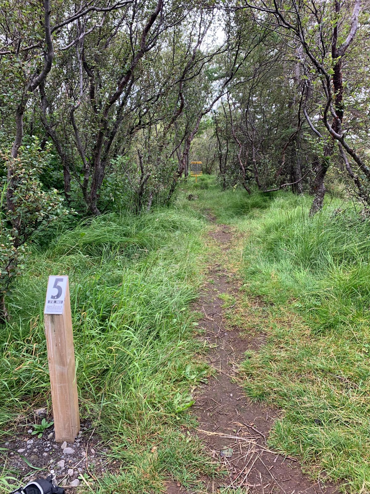5th tee