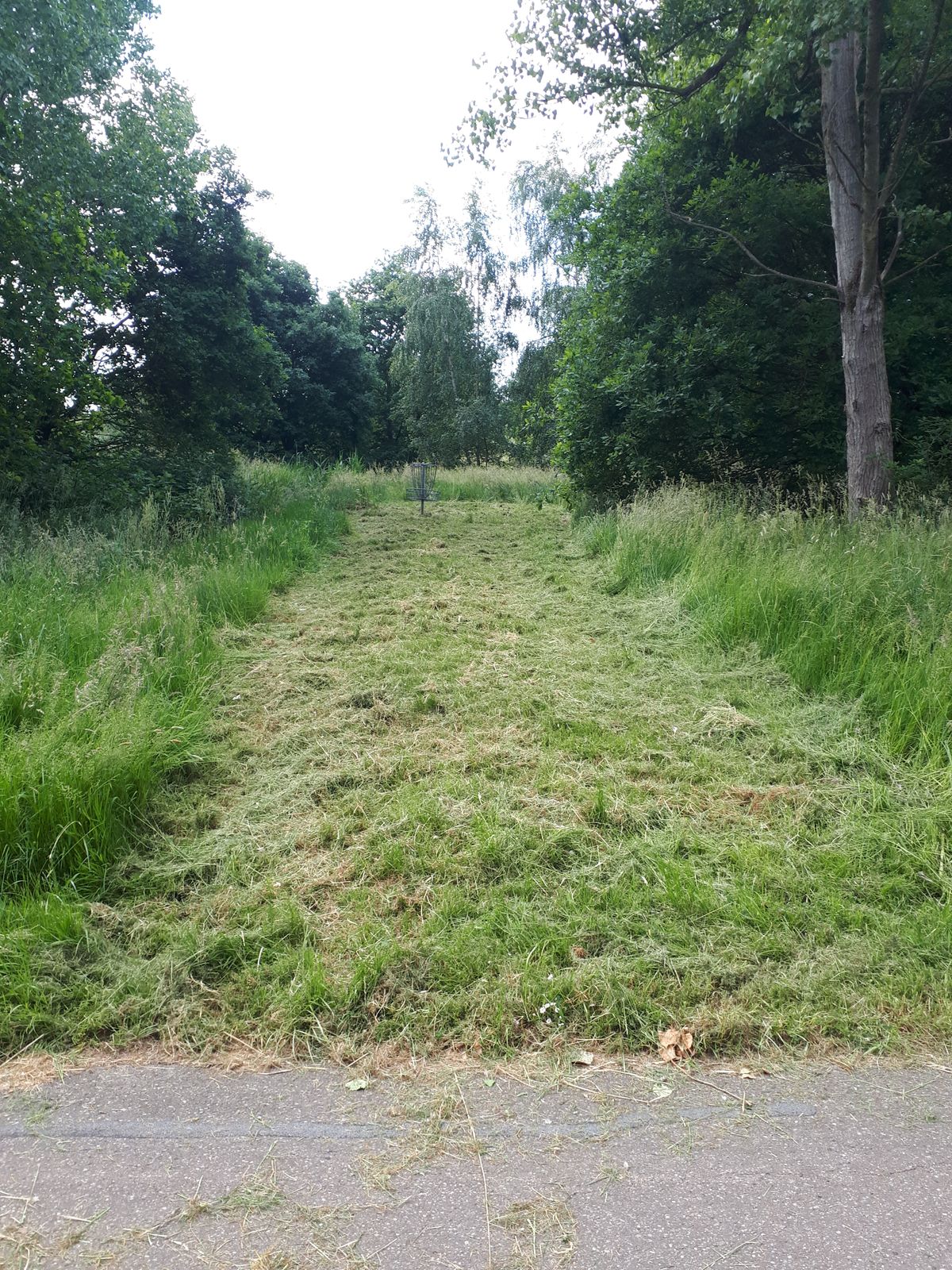 Hole 2 basket