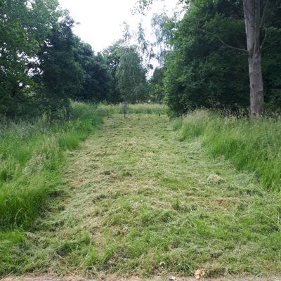 Hole 2 basket