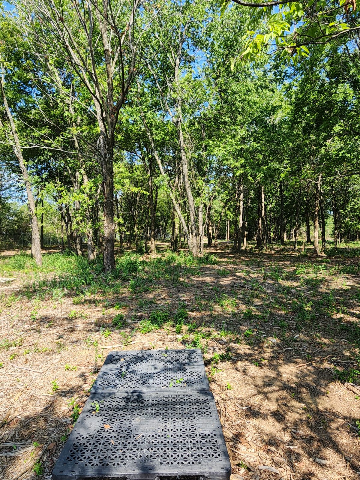 Hole 2