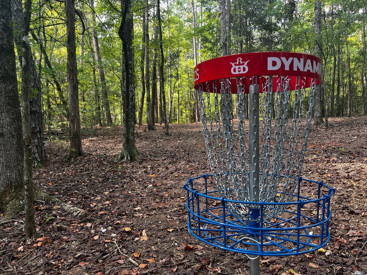 Hole 6 basket
