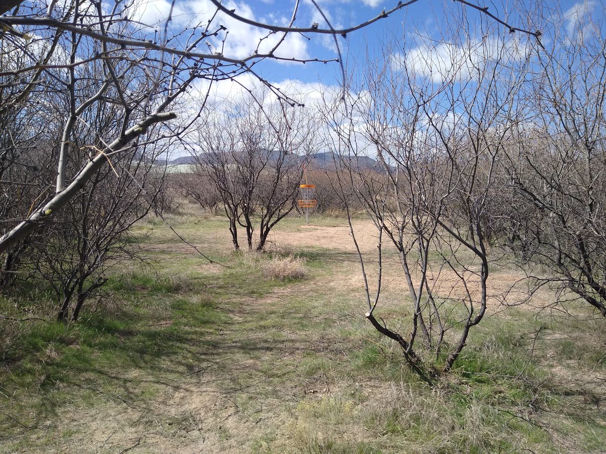 Hole 10 is coming along. Still needs a ton of tree removal, limbing and trimming.