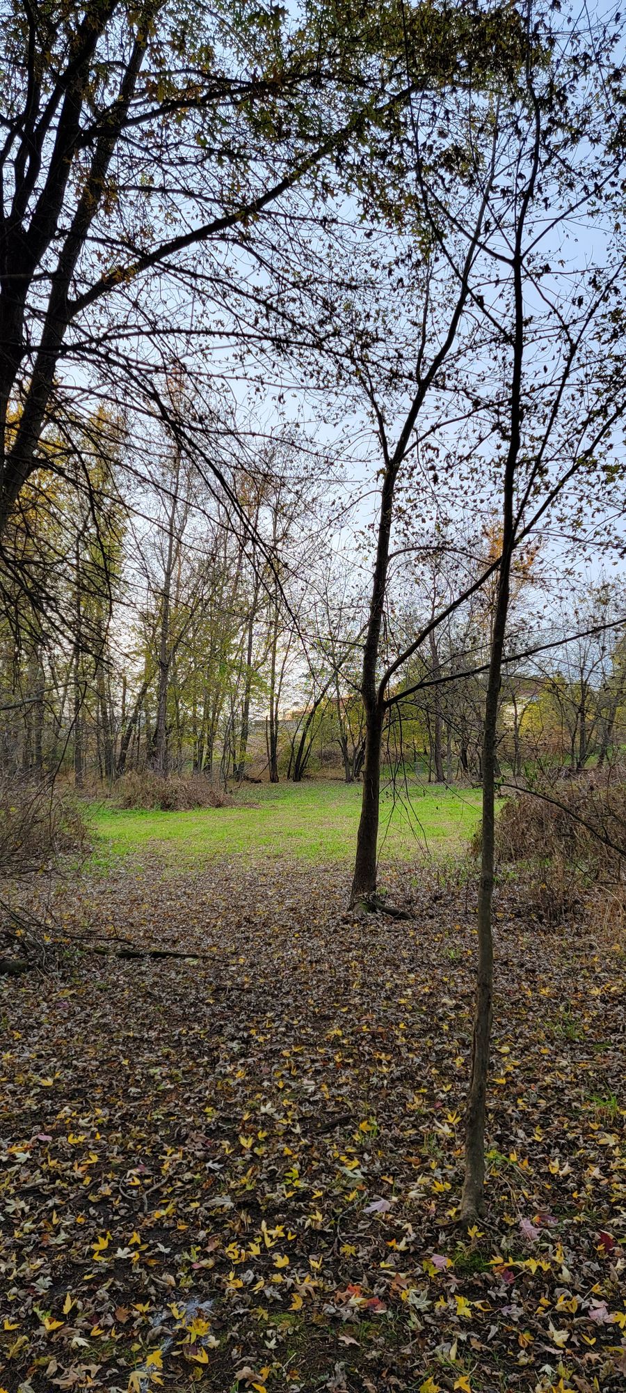 Hole 9