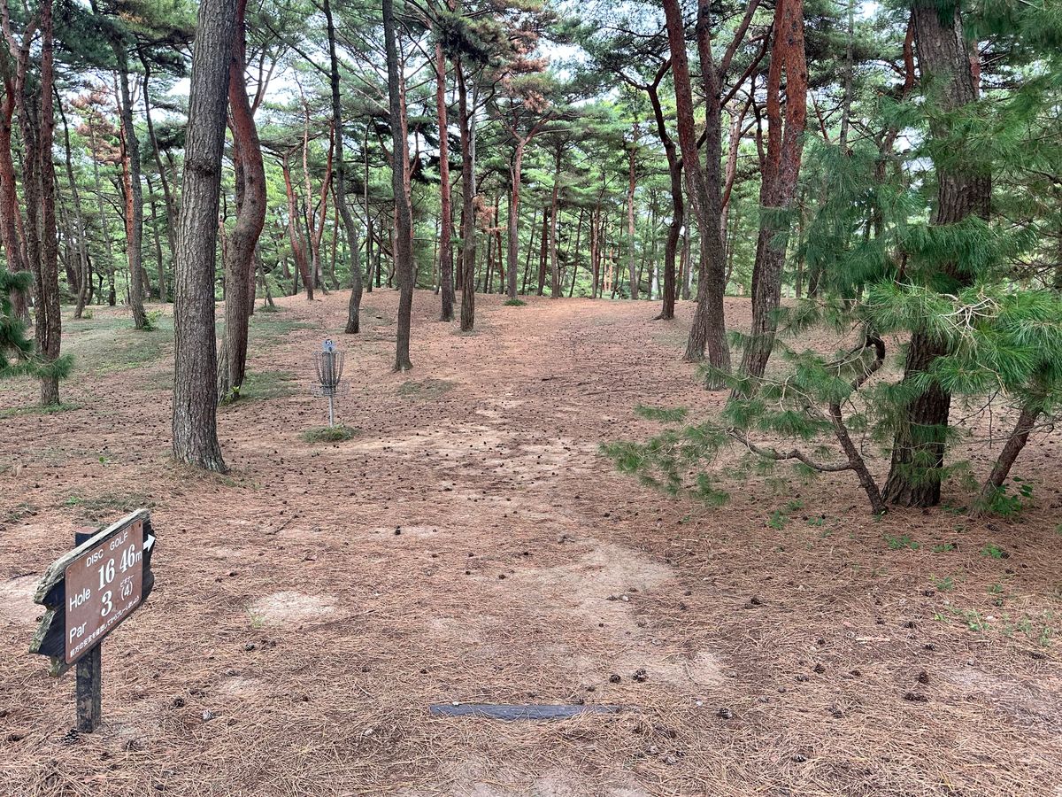 Hole 16