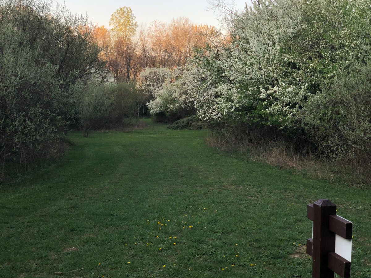 Hole 8 Fairway deep into the spring bloom.