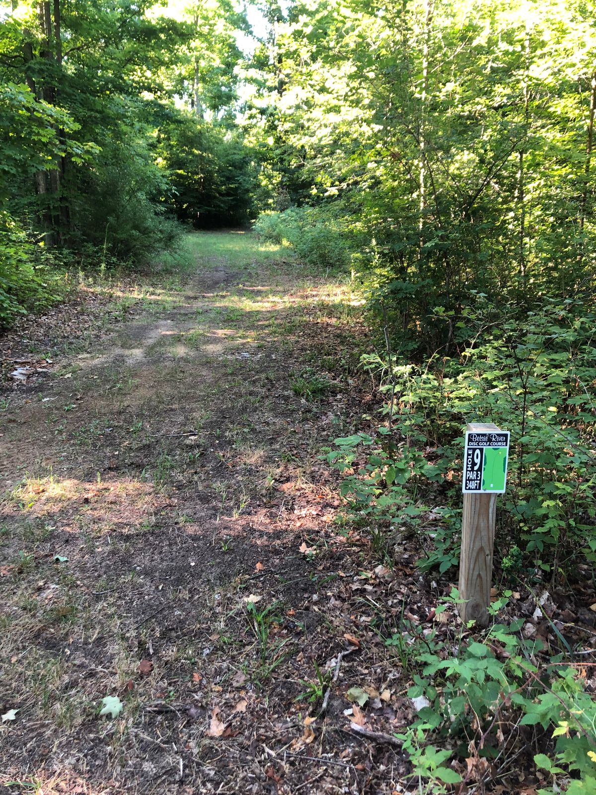 Hole 9