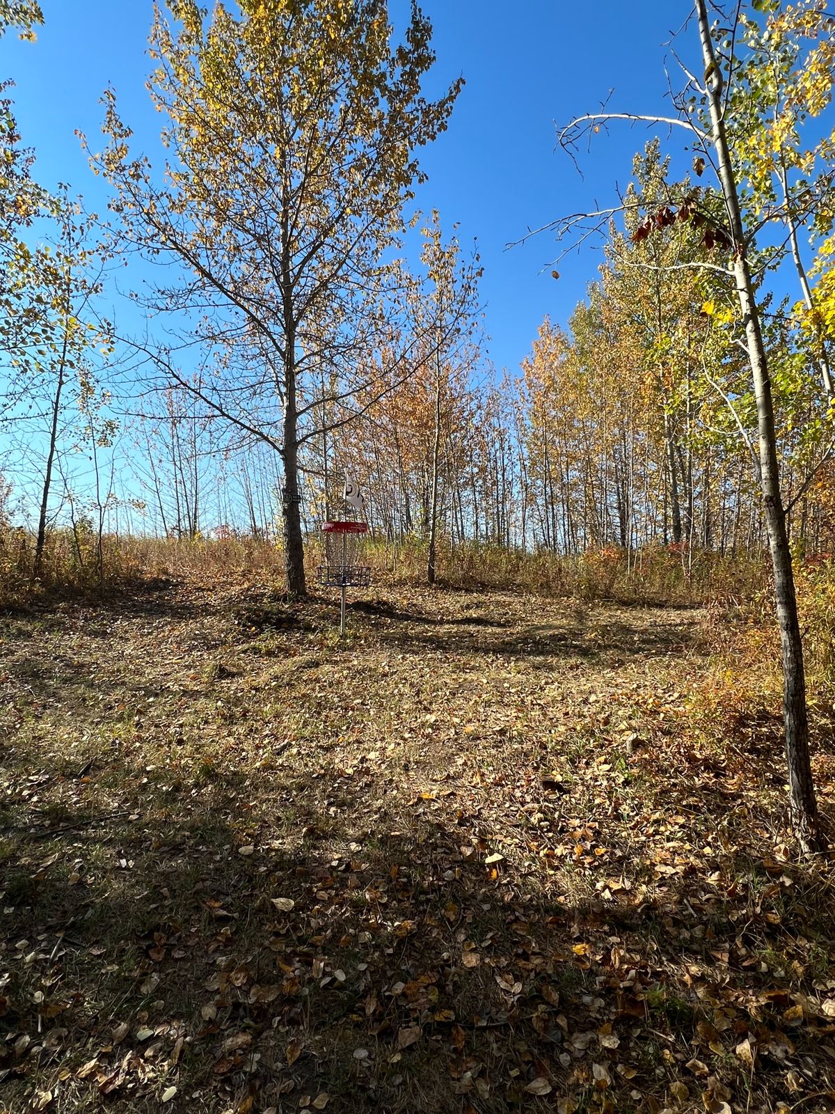 Hole 14 Green