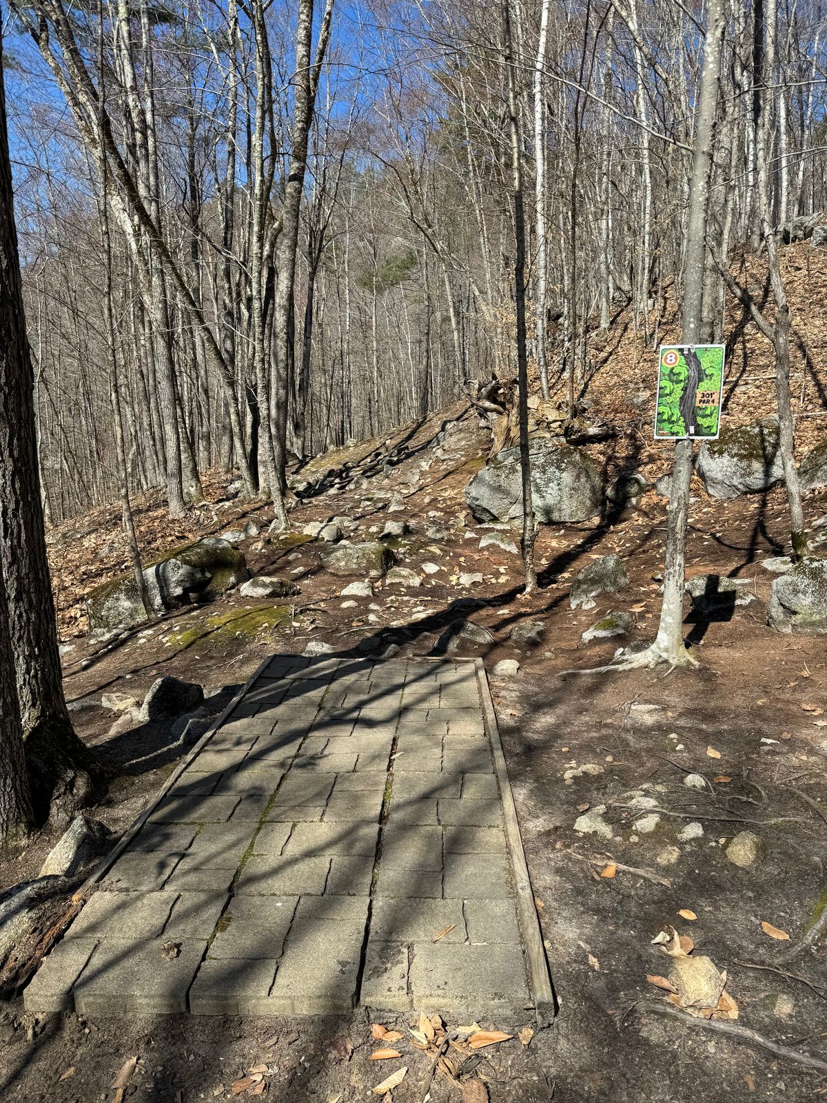 Hole 8