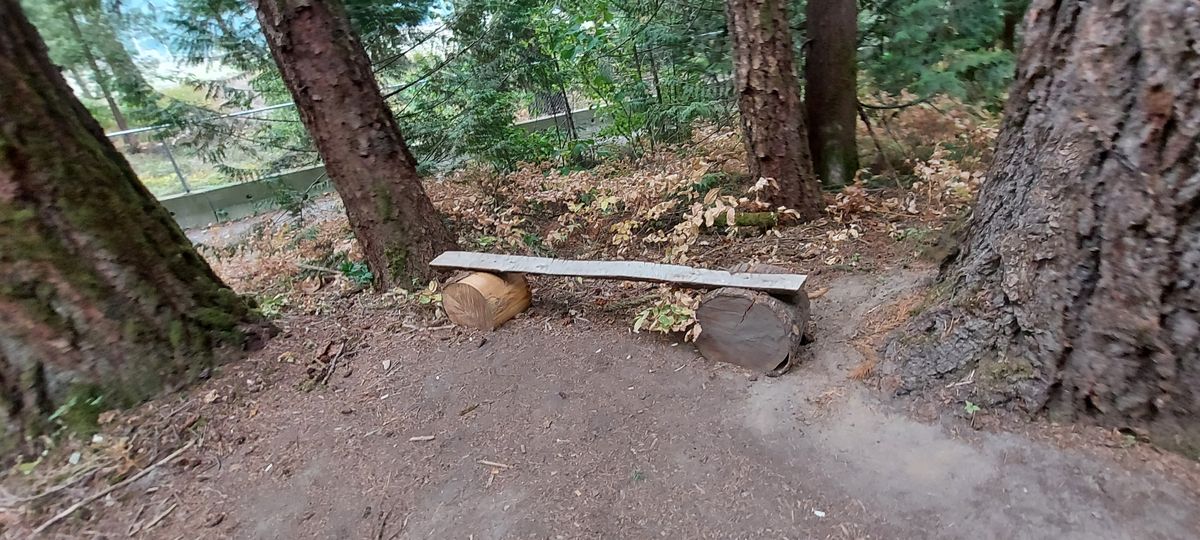 Tee pad 14.🪵🌿🪵🌿🪵