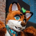 vulpes24