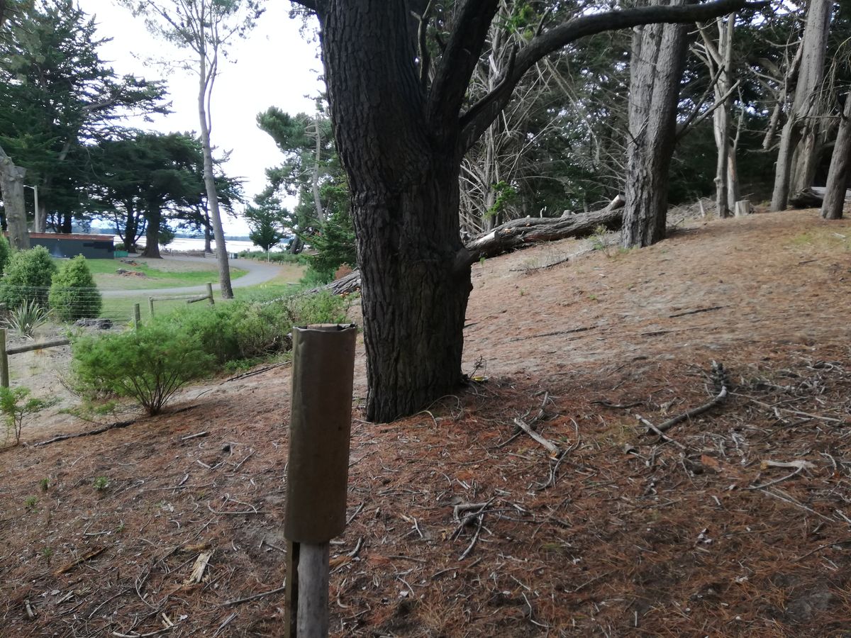 This is hole 3, 8, 11, 16. On corner of campground.