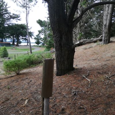 This is hole 3, 8, 11, 16. On corner of campground.