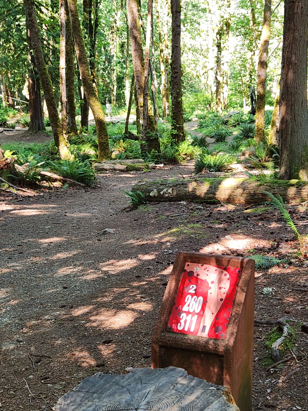 Hole 2 - Red Tee