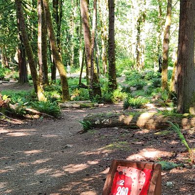 Hole 2 - Red Tee