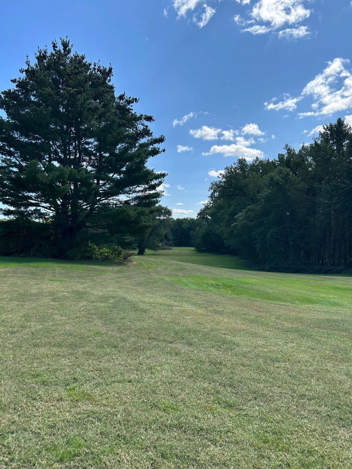 Hole 8