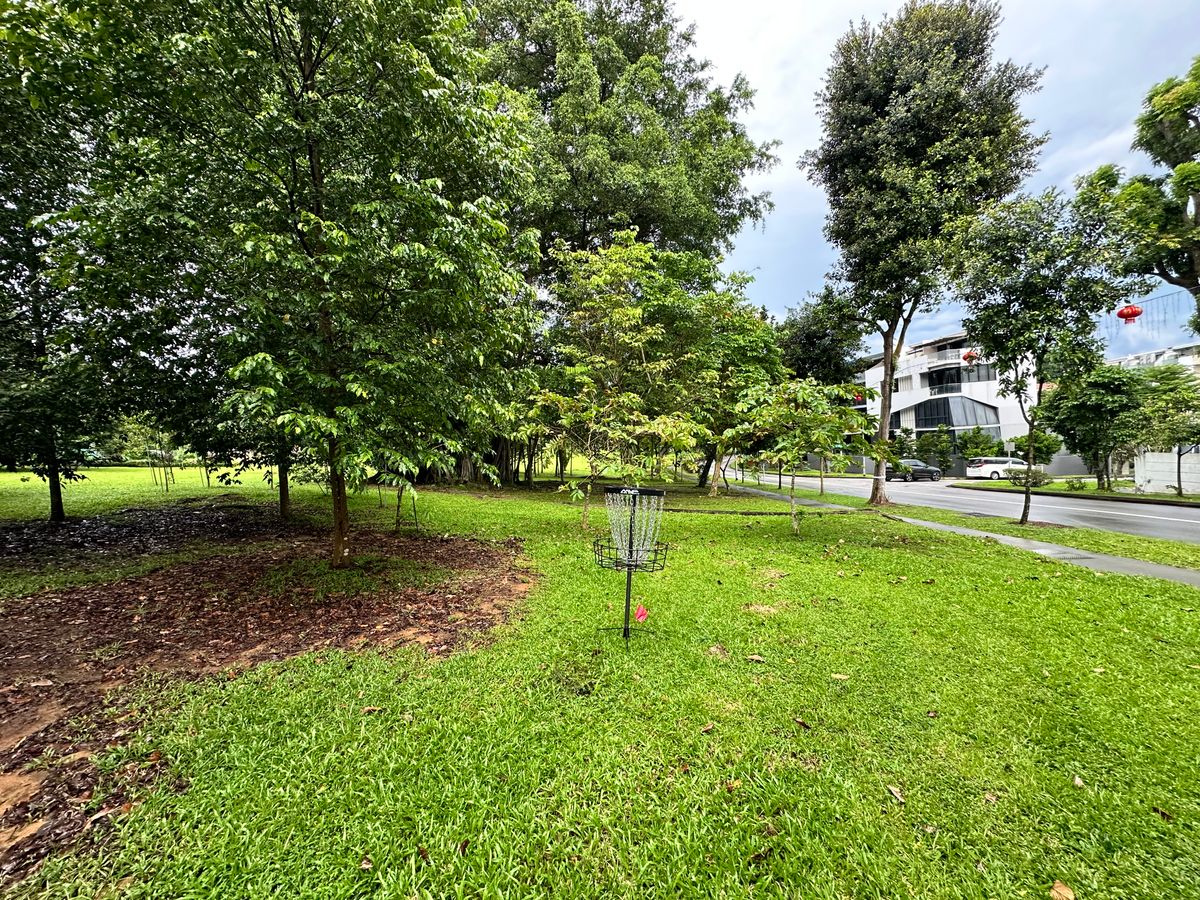 Hole 3 Basket