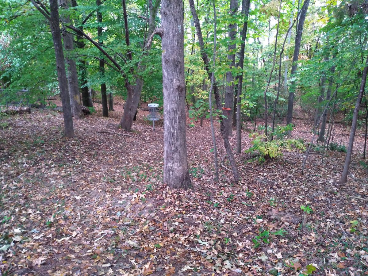 downhill to basket 14