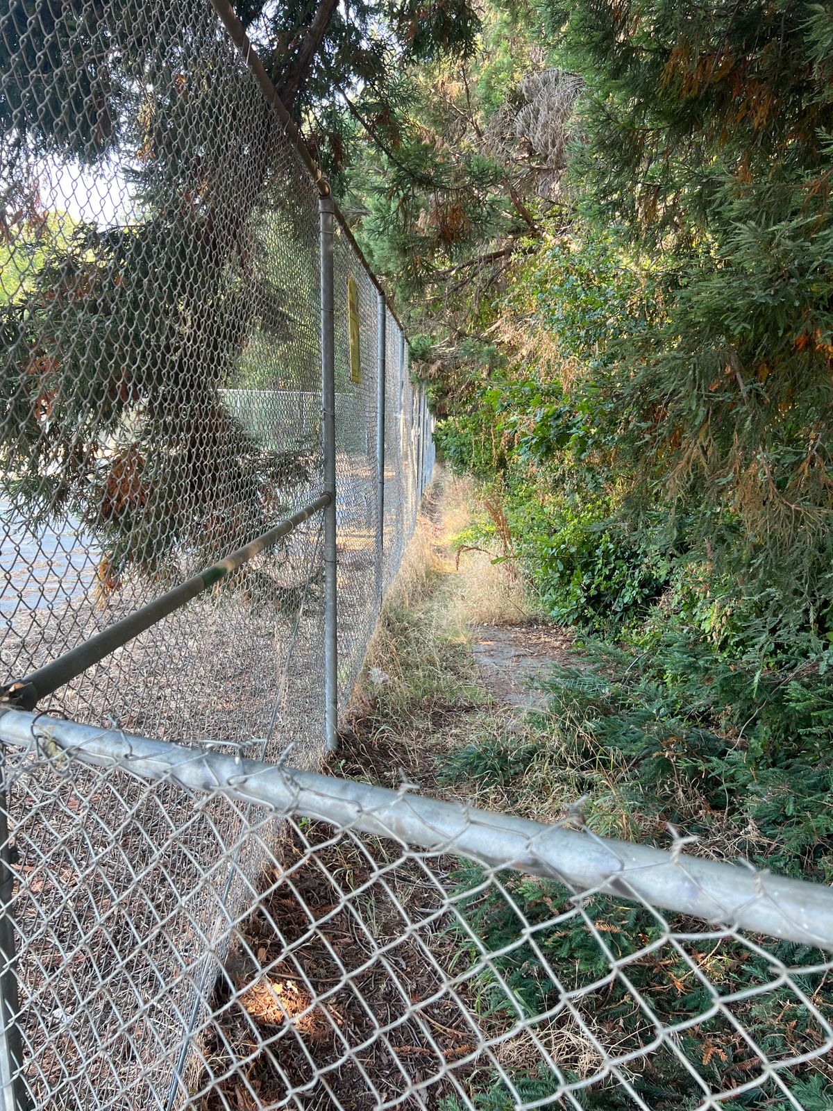 Hole 2 seemed almost unplayable due to poison oak. I tomahawked over the fence and parred.