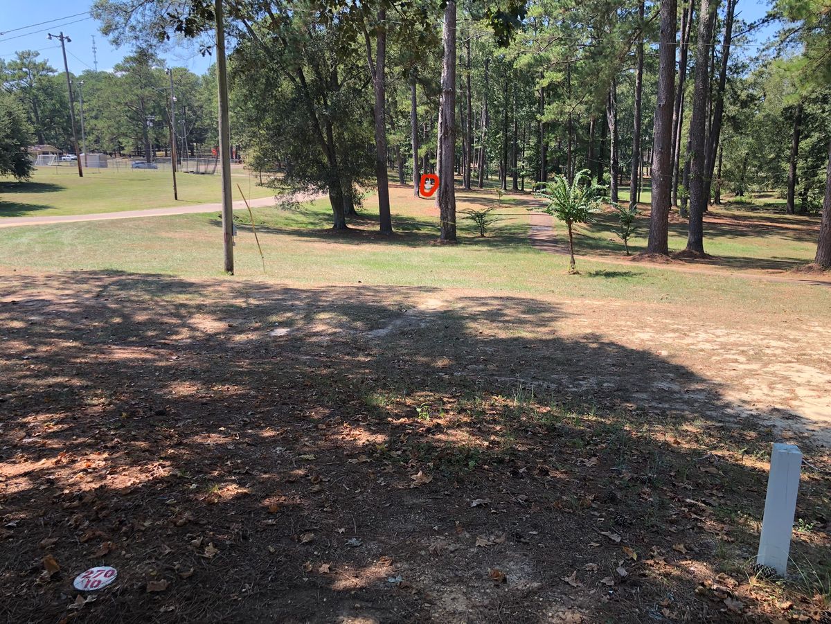 Hole 10 basket, pine on the right is a Mando to prevent throwing over the path