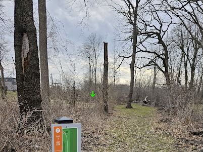 Hole 7