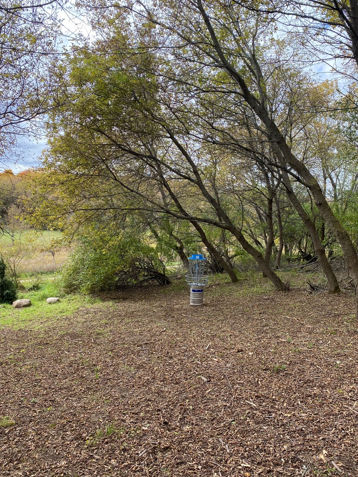 Hole 16 basket