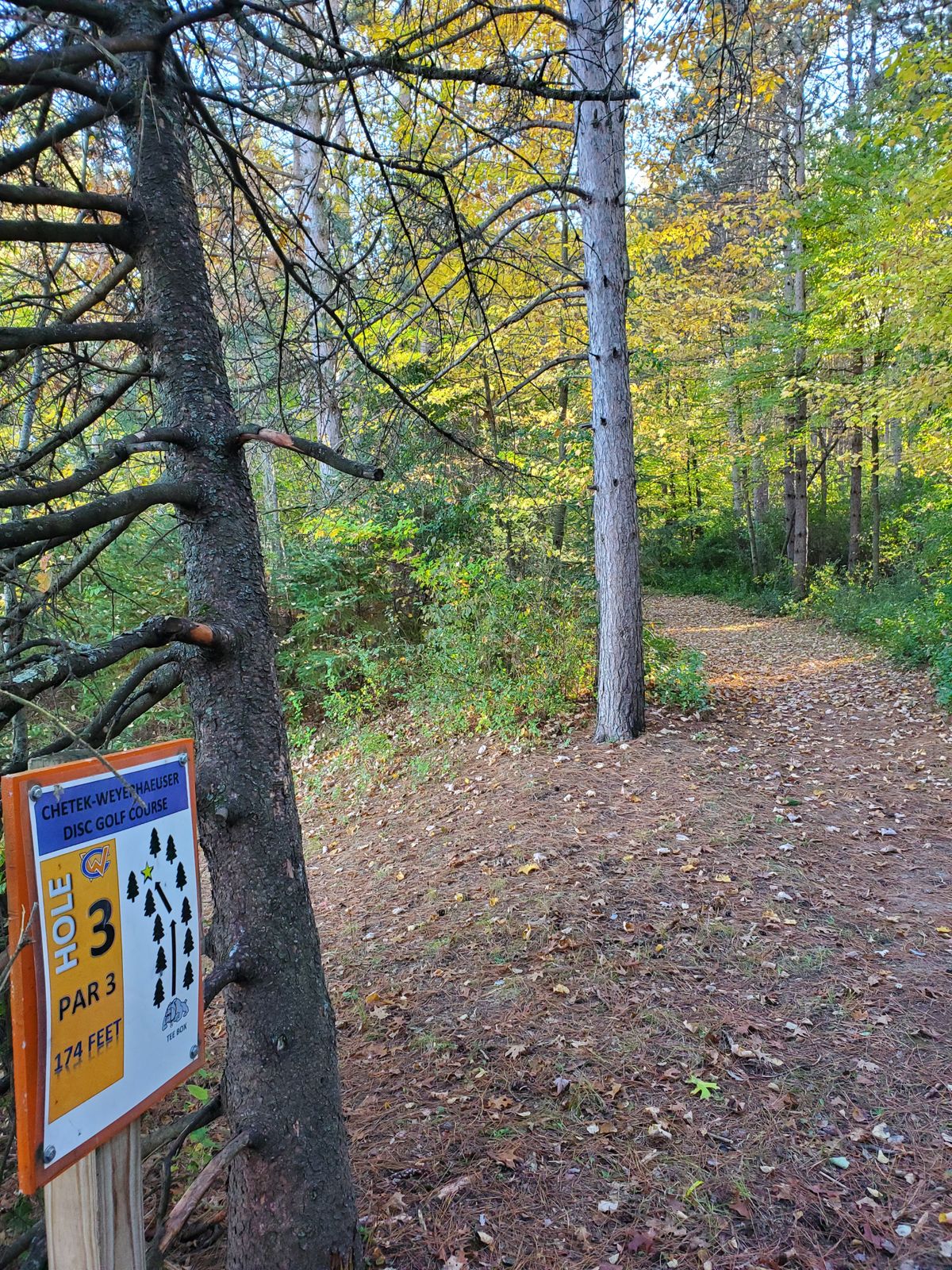 Hole 3
