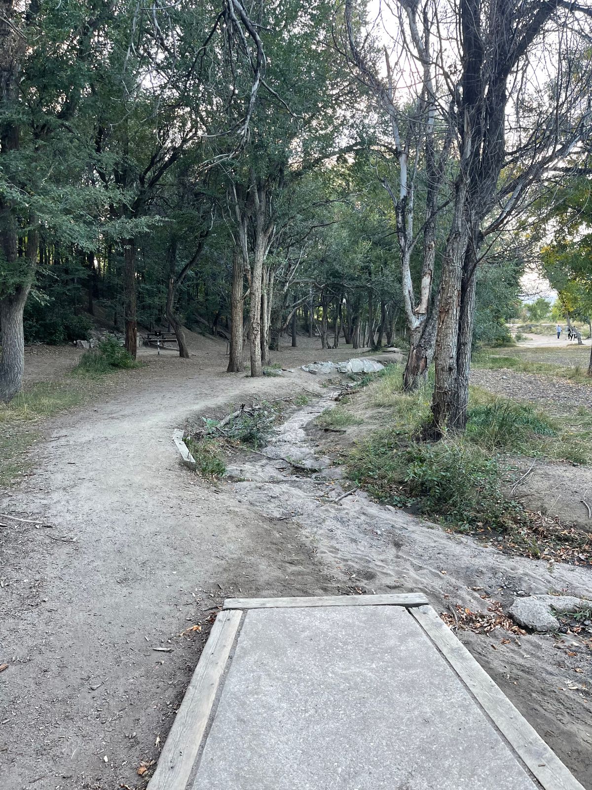 Hole 14