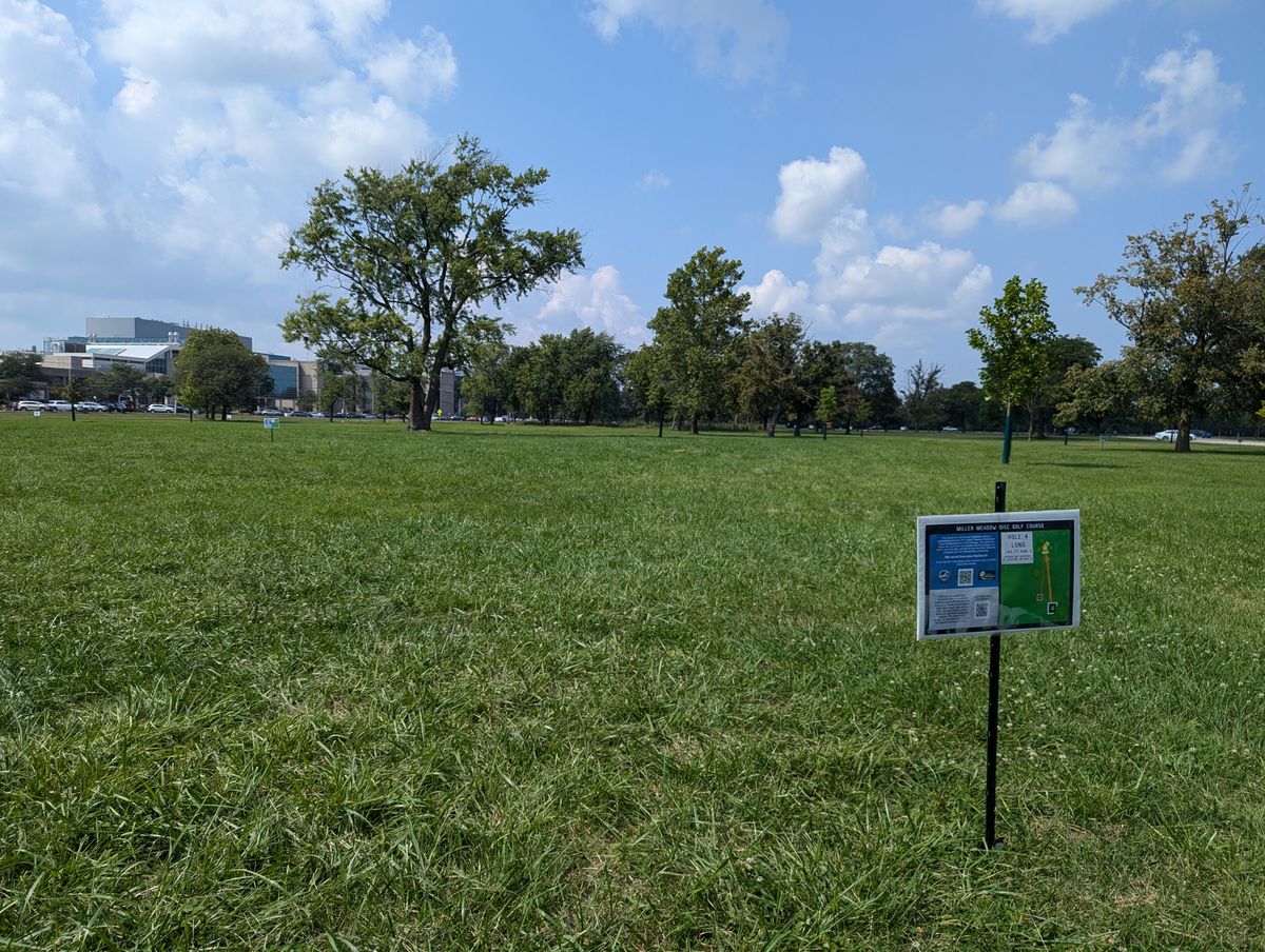 Hole 4 - Long